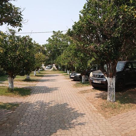 Pension Alexandros Πρέβεζα Εξωτερικό φωτογραφία